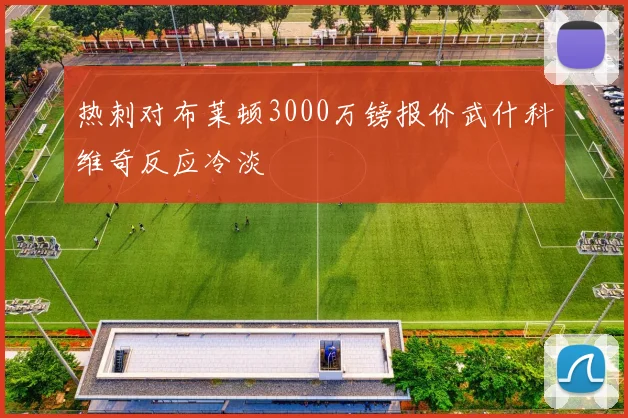 热刺对布莱顿3000万镑报价武什科维奇反应冷淡
