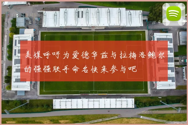 美媒呼吁为爱德华兹与拉梅洛鲍尔的强强联手命名快来参与吧